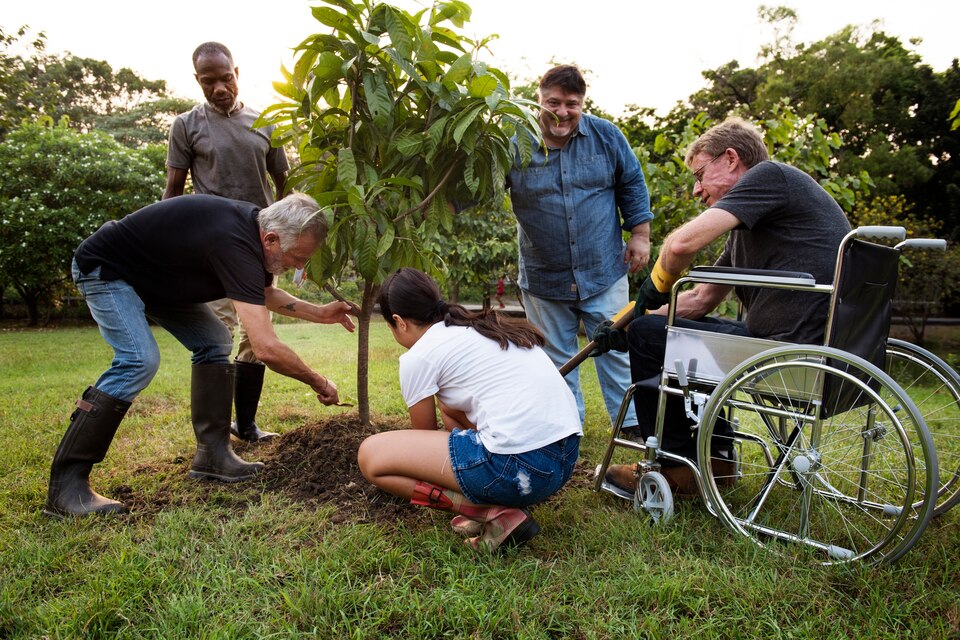 Disabled People Plant Tree Together Through NDIS Social Activity Participation